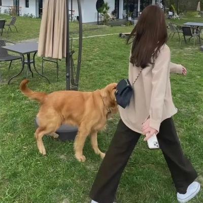罪美女人